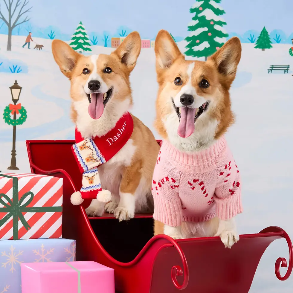 Thumbnail: Holly Bobble Knit Dog Scarf