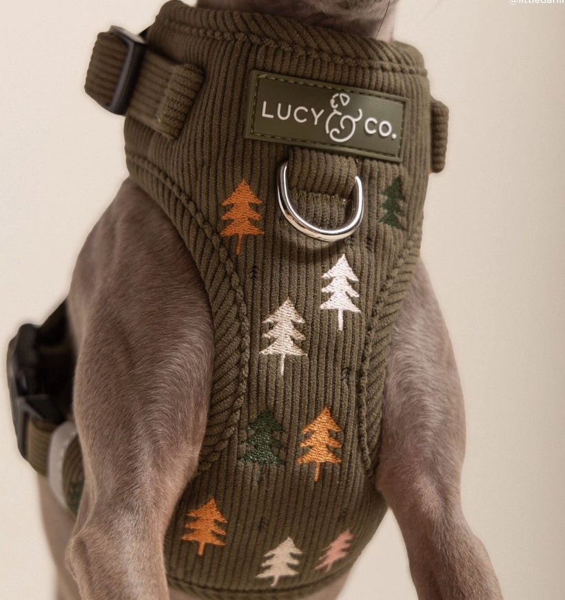 Take A Hike Corduroy No-Pull Harness