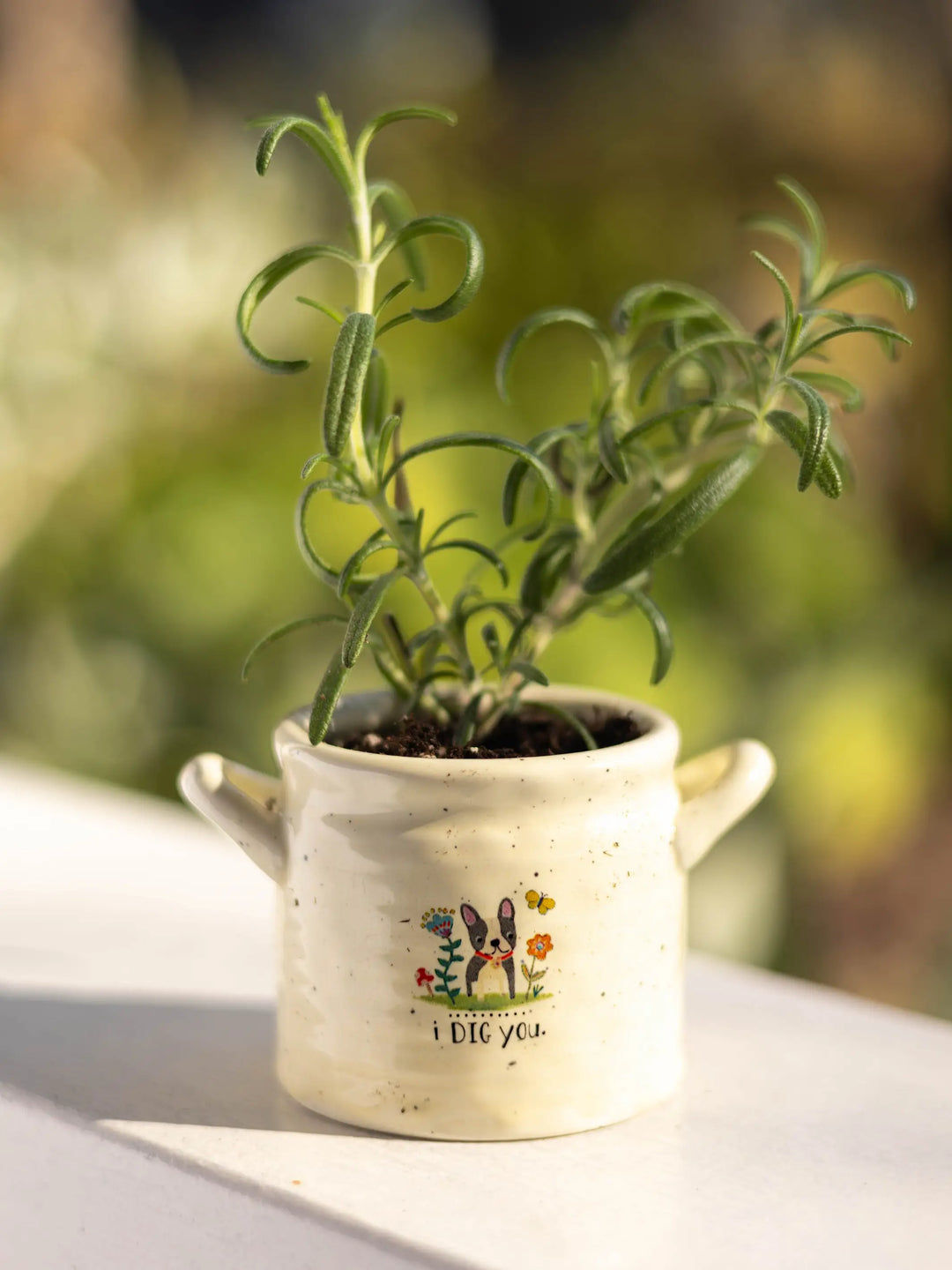 Crock Planter - I Dig You Small
