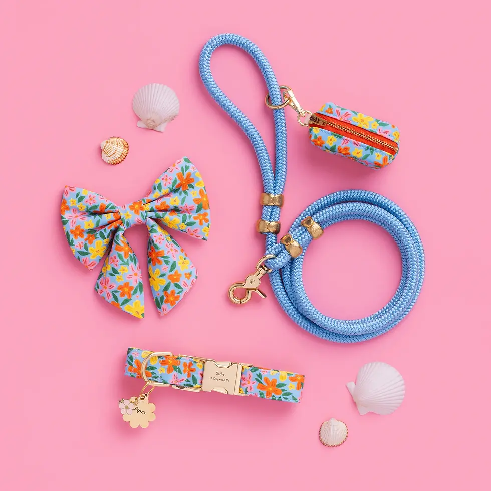 Thumbnail: Island Time Dog Bandana