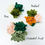 Thumbnail: Succulent Dog Collar Accessory
