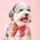Thumbnail: Berry Sweet Lady Dog Bow