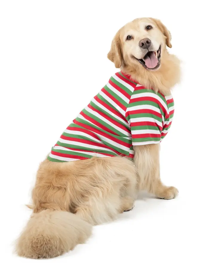 Thumbnail: Big Dog T-shirt Pajamas