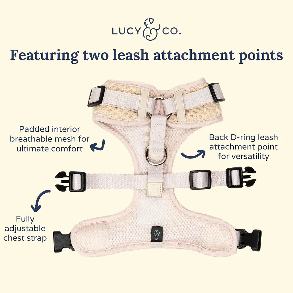 Thumbnail: Main Squeeze Crochet No-Pull Harness
