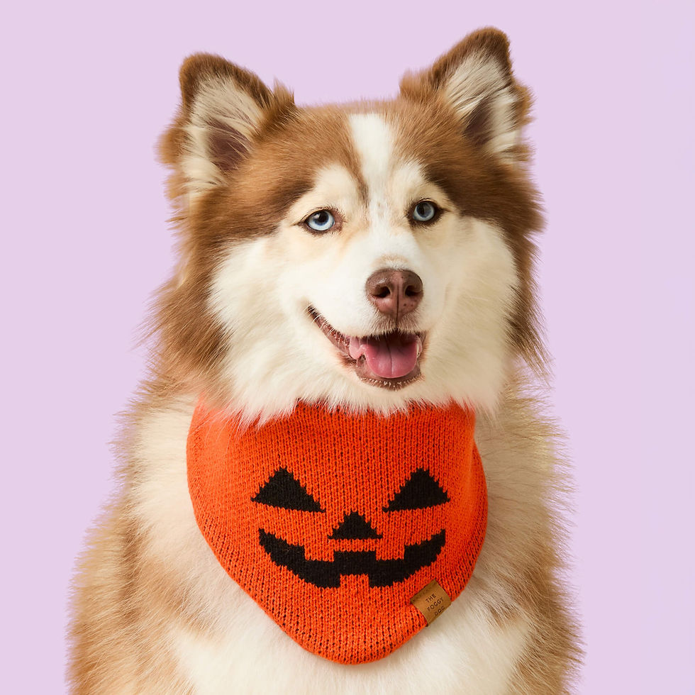 Thumbnail: Jack-o’-Lantern Knit Dog Bandana