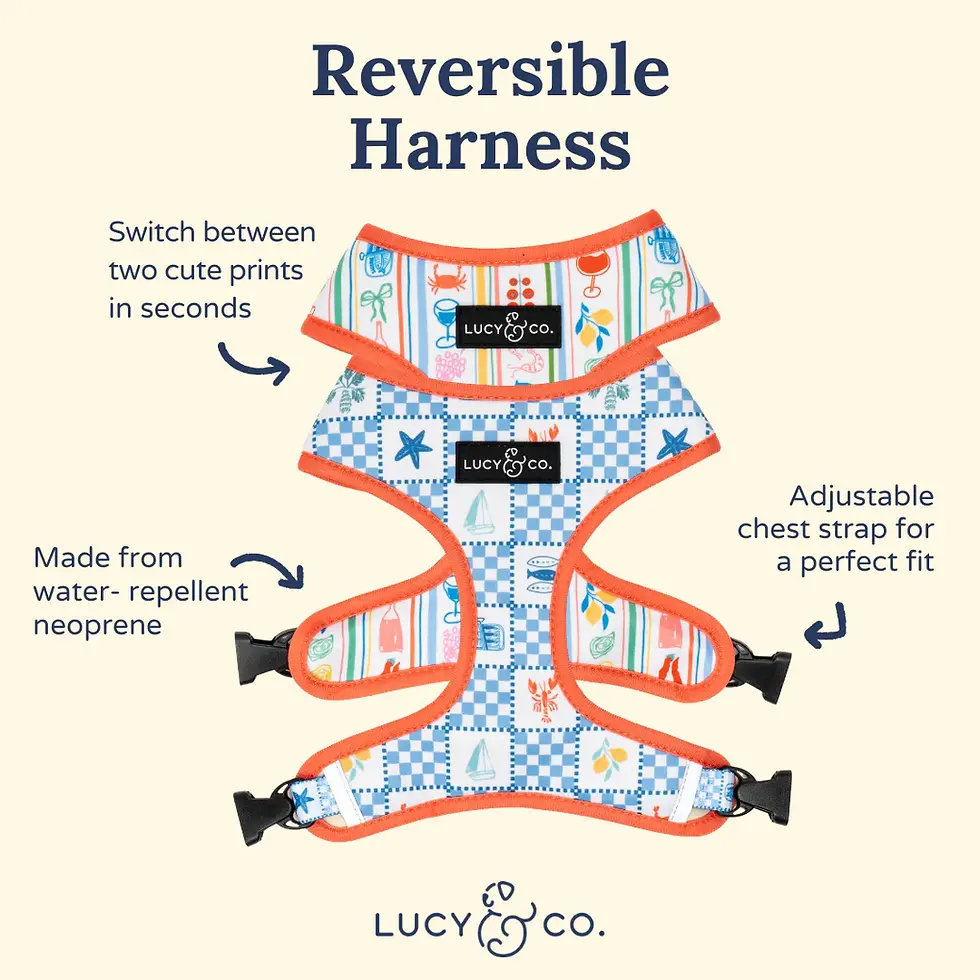 Thumbnail: Sunny in Sicily Reversible Harness