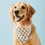 Thumbnail: Rifle Paper Co. x TFD Tulips Dog Bandana
