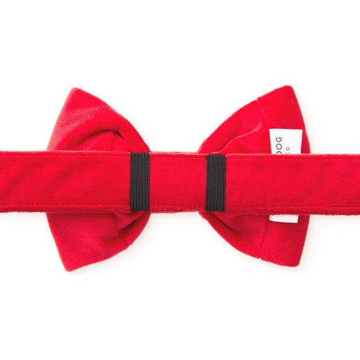 Thumbnail: Cranberry Velvet Dog Bow Tie