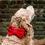 Thumbnail: Cranberry Velvet Dog Bow Tie