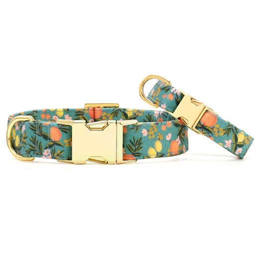 Thumbnail: Rifle Paper Co. x TFD Citrus Floral Spring Dog Collar