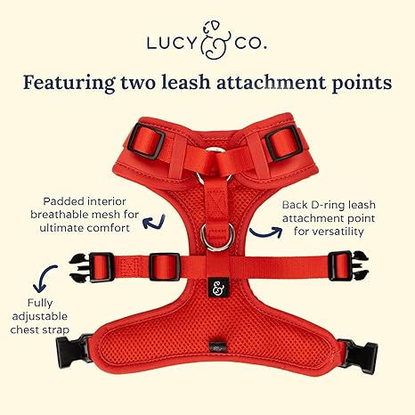 Thumbnail: Cute No-Pull Cheery Red Harness