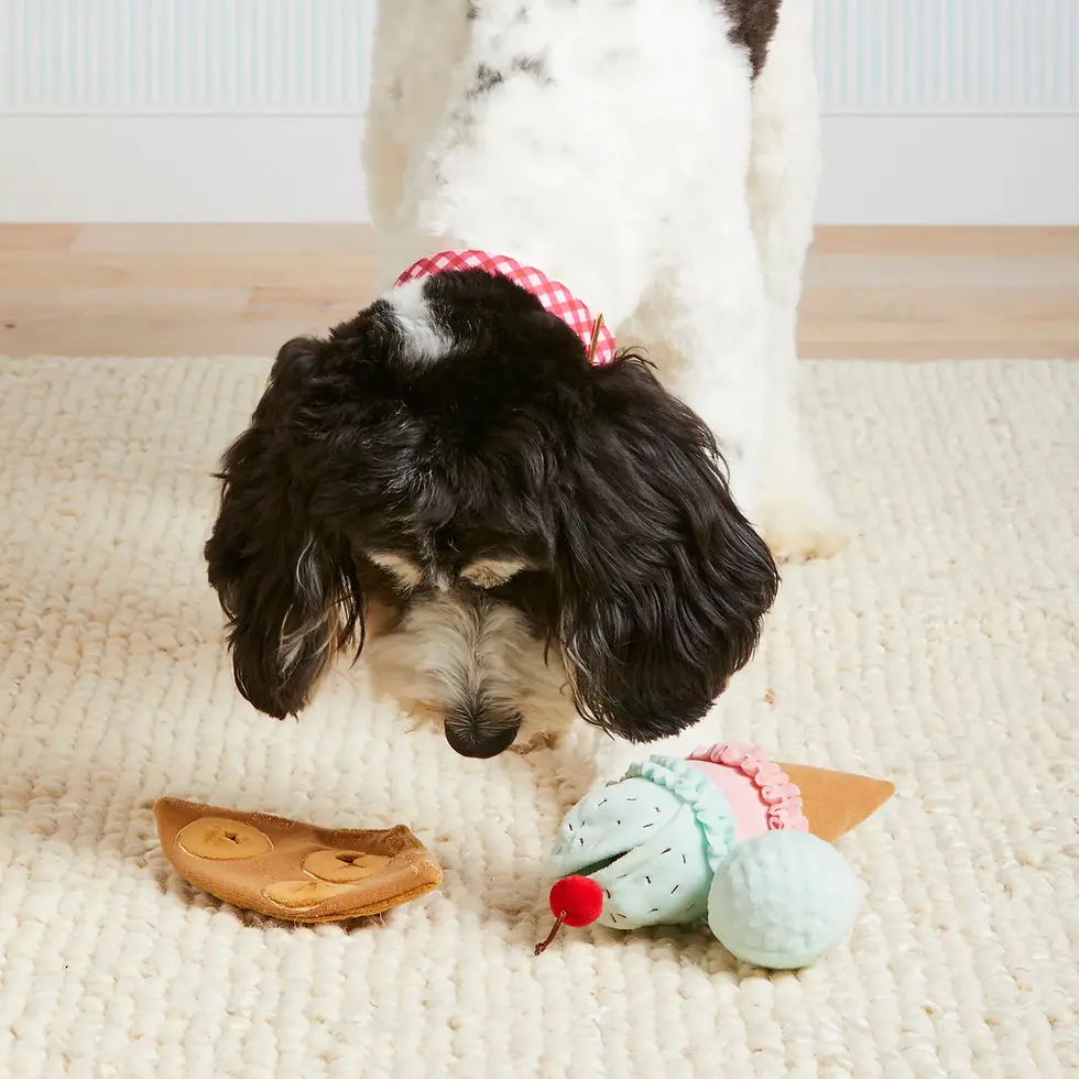 Thumbnail: Ice Cream Interactive Snuffle Dog Toy