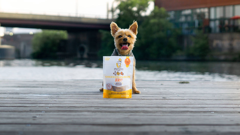 Thumbnail: Chick'n Colada Jerky