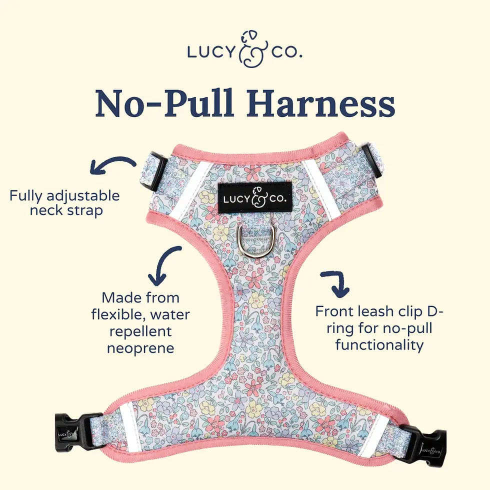 Thumbnail: Ditsy Daydream No-Pull Harness