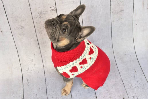 Valentine Sweater by Bella Bean