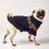 Thumbnail: Pumpkin Patch Dog Sweater