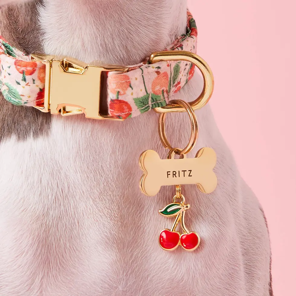 Rifle Paper Co. x TFD Cherry Blossom Spring Dog Collar