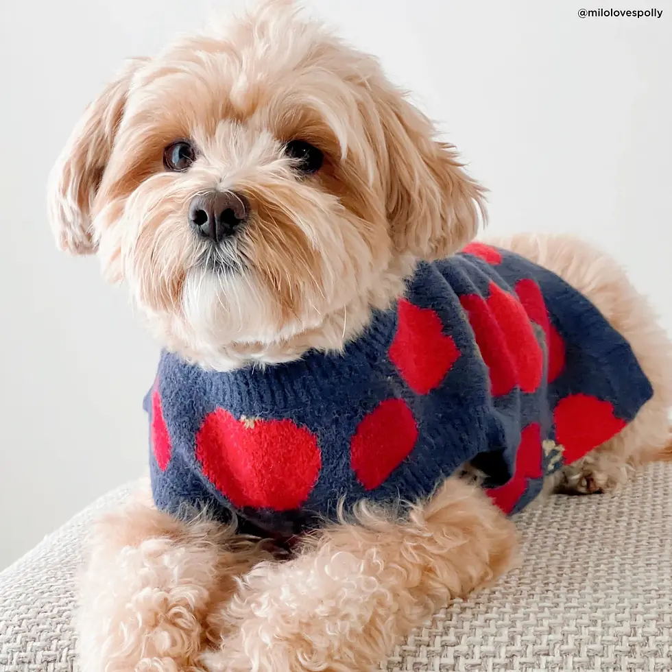 Thumbnail: Appley Ever After Sweater