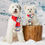Thumbnail: Gray Malin x TFD Hit the Slopes Knit Dog Scarf