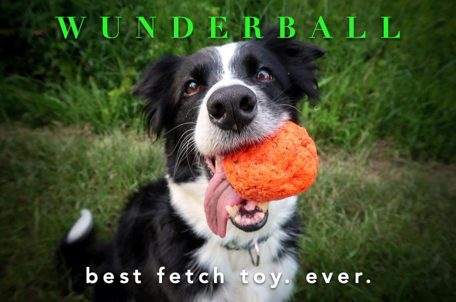 Thumbnail: Wunderball Dog Toy