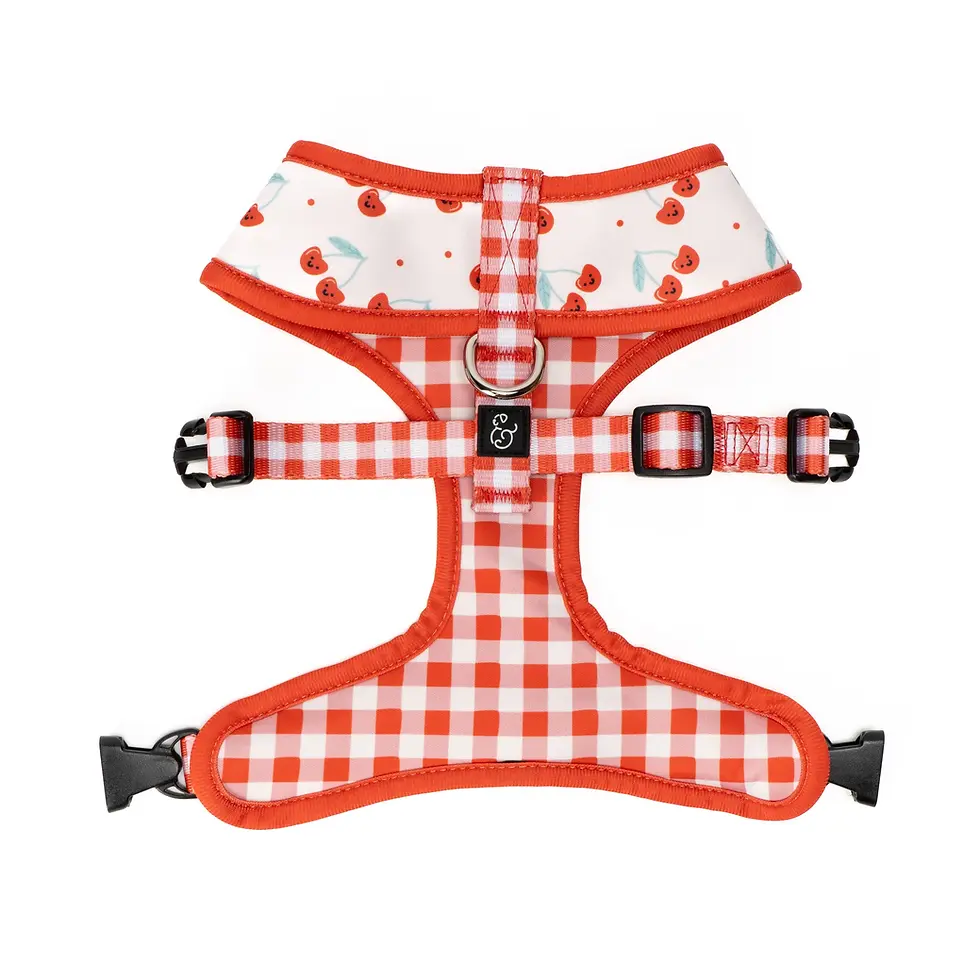 Thumbnail: Cheery Cherries Reversible Harness