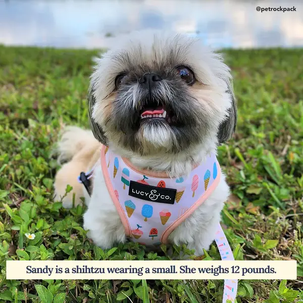 Thumbnail: The A Lotto Gelato Reversible Dog Harness