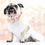 Thumbnail: “Dog of Honor” Hand Embroidered Wedding Dog Collar