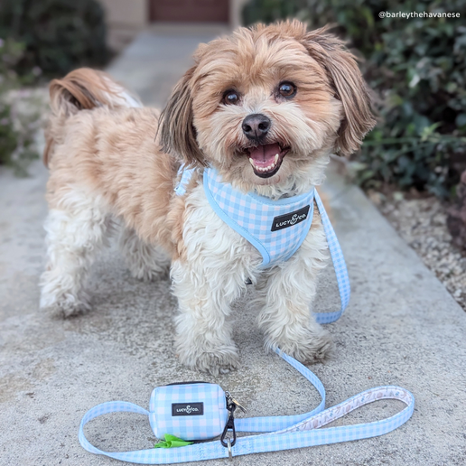 Thumbnail: Hippity Hoppity Reversible Harness