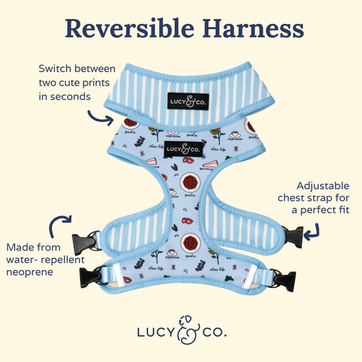 Thumbnail: Italian Vacay Reversible Harness