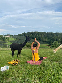 07404369-660a-498e-916a-59adef495a36.jpeg