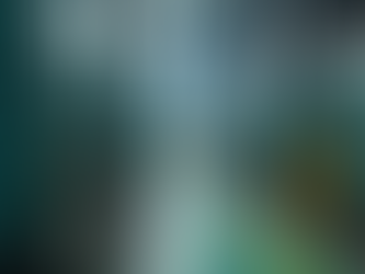 The Importance of Odor Control Services in Restoration