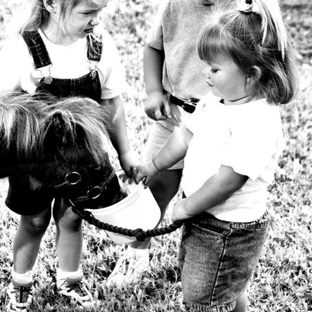 Gökten üç elma düştü.