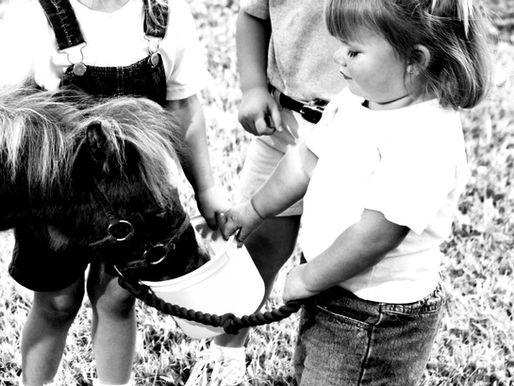UNE CLAQUE SUR LE CUL DU PONEY