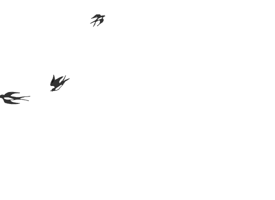 orig.gif