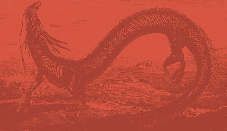 Elementi grafici Drago-02.jpg