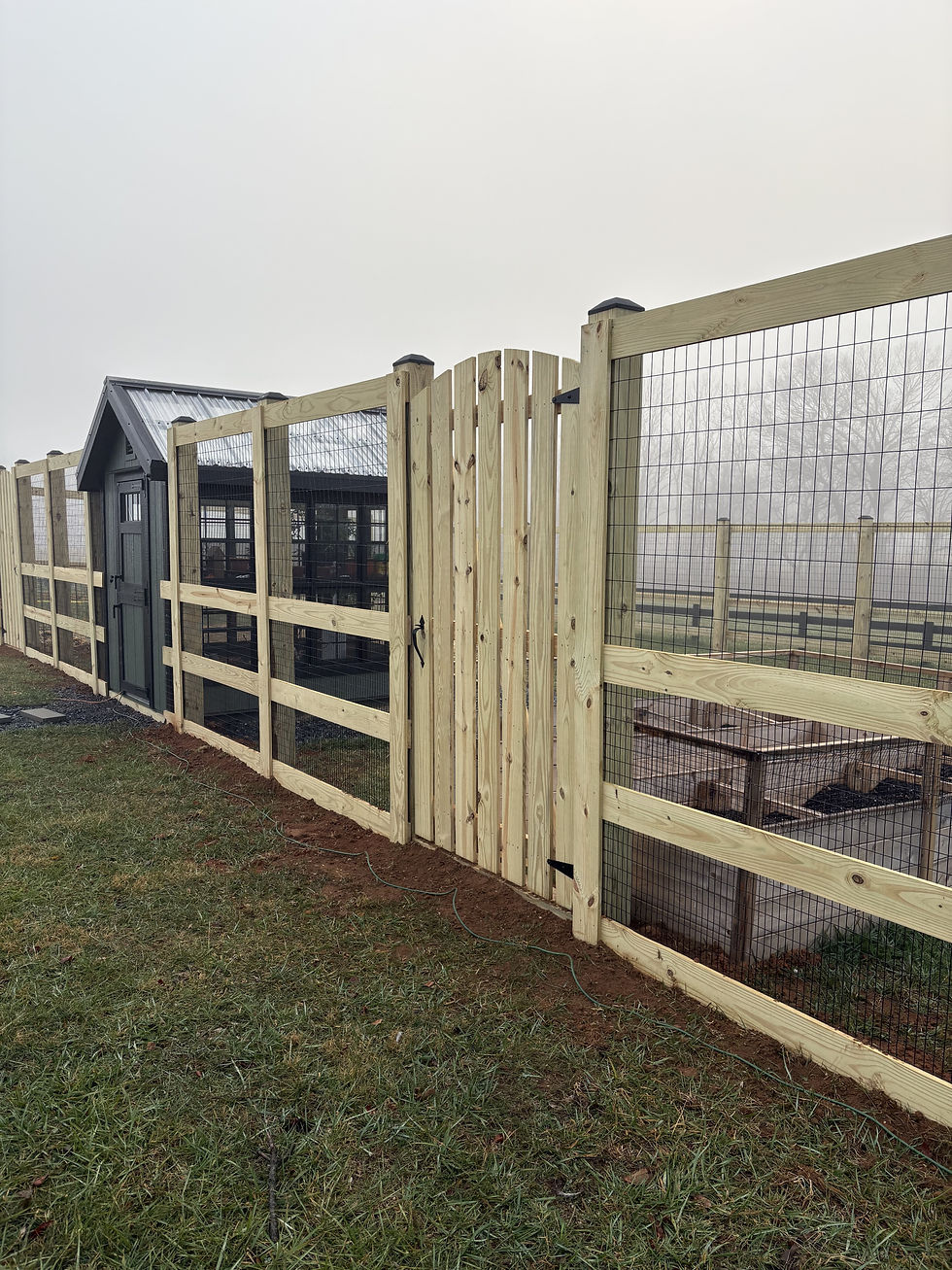 Garden Fence