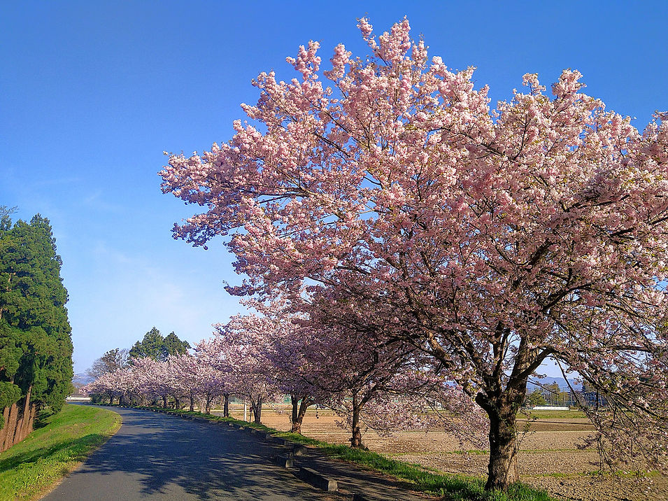 たかはし社会保険労務士事務所_ 岩手県北上市202603
