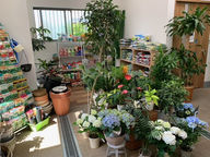 GARDEN TATSUMI　店内