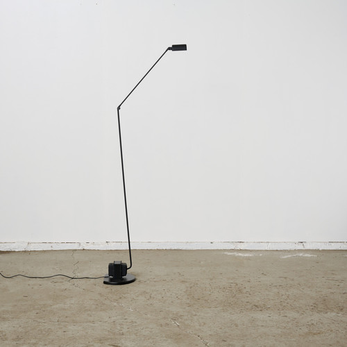 フロアスタンド Lumina Daphine LED Floor Black Lumina Daphine LED Floor Black ルミナ ダフィーネ LED フロア