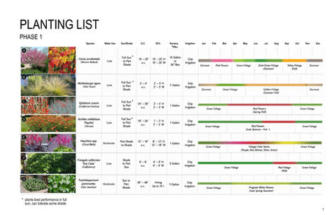 Planting palette for a California ADU landscape featuring low-water California native and climate-adapted plants with seasonal interest.