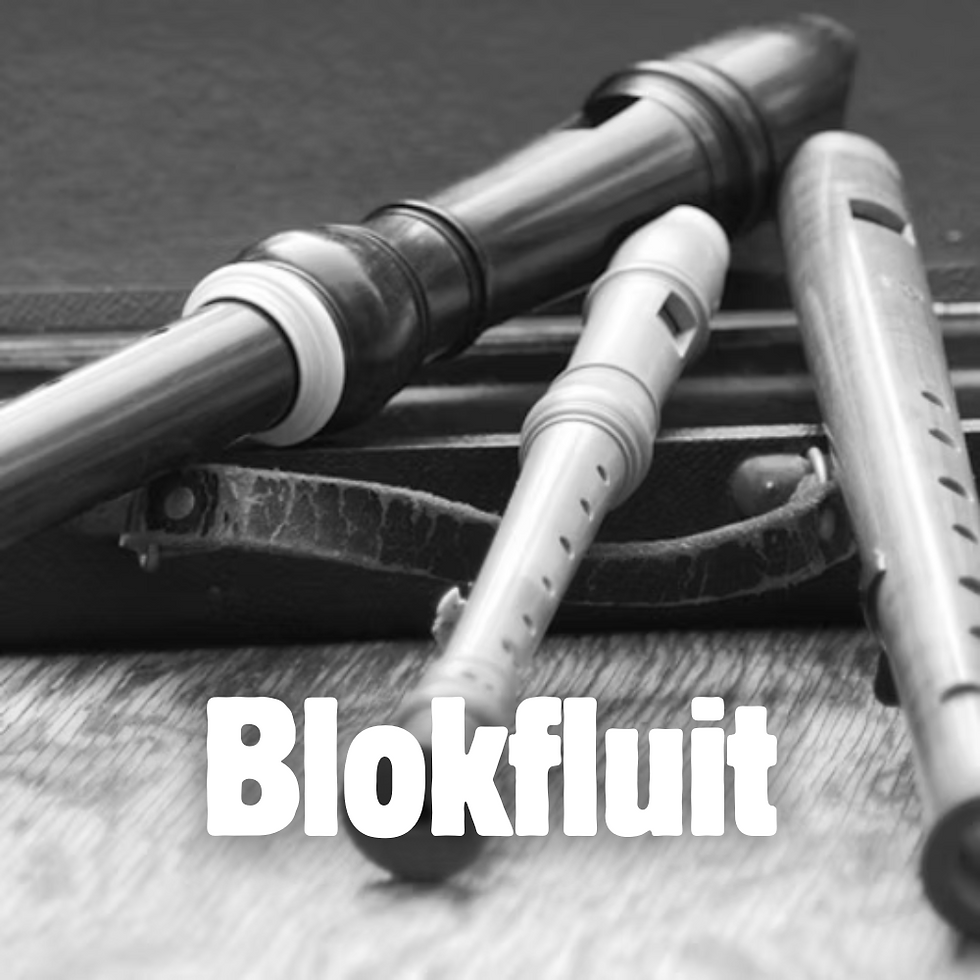 Proefles blokfluit