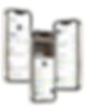 Untitled design (3).png