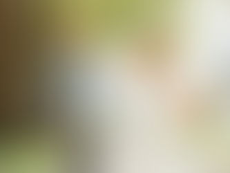 Capturing Love in the New England Landscape: The Perfect Shot List for a Memorable Wedding