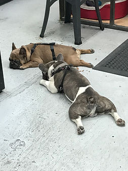 IMG_0539.jpeg