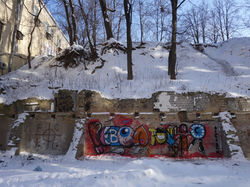 5-DSC09293