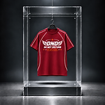Red Wings Tee