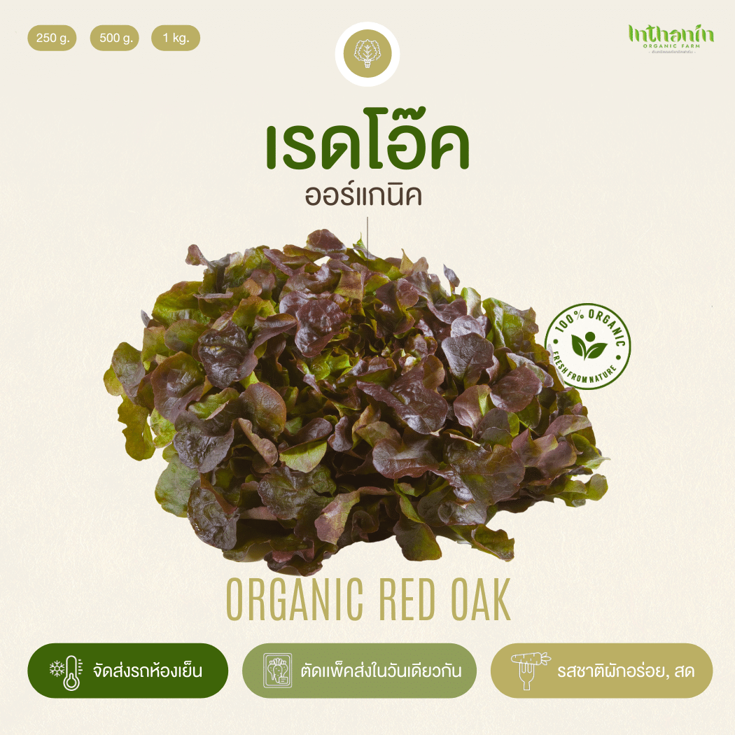เรดโอ๊คอินทรีย์ Organic Red Oak