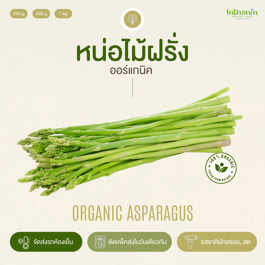 หน่อไม้ฝรั่งอินทรีย์ Organic Asparagus