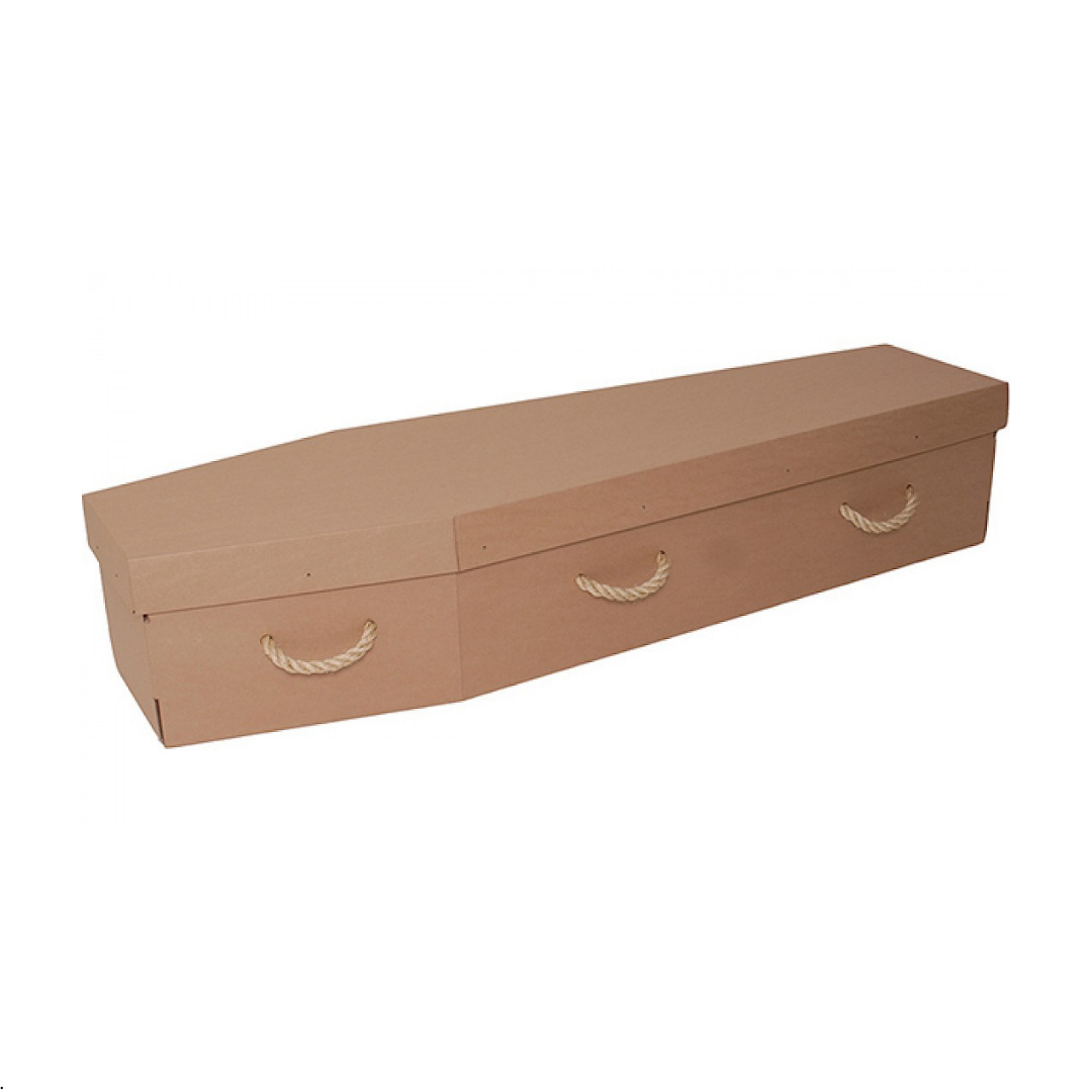 Cardboard Coffin