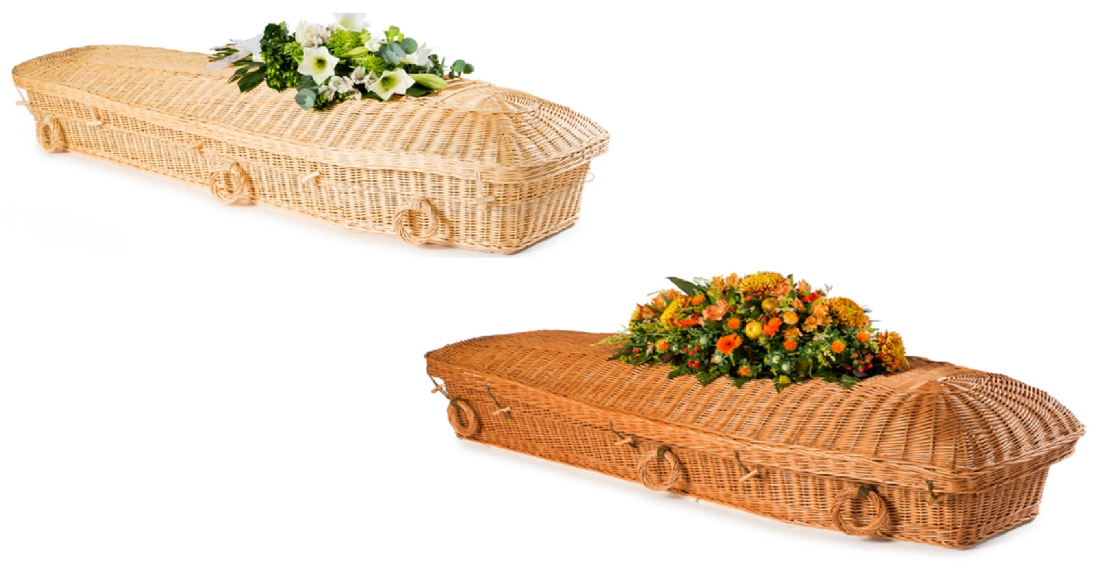 Willow Pod Coffin